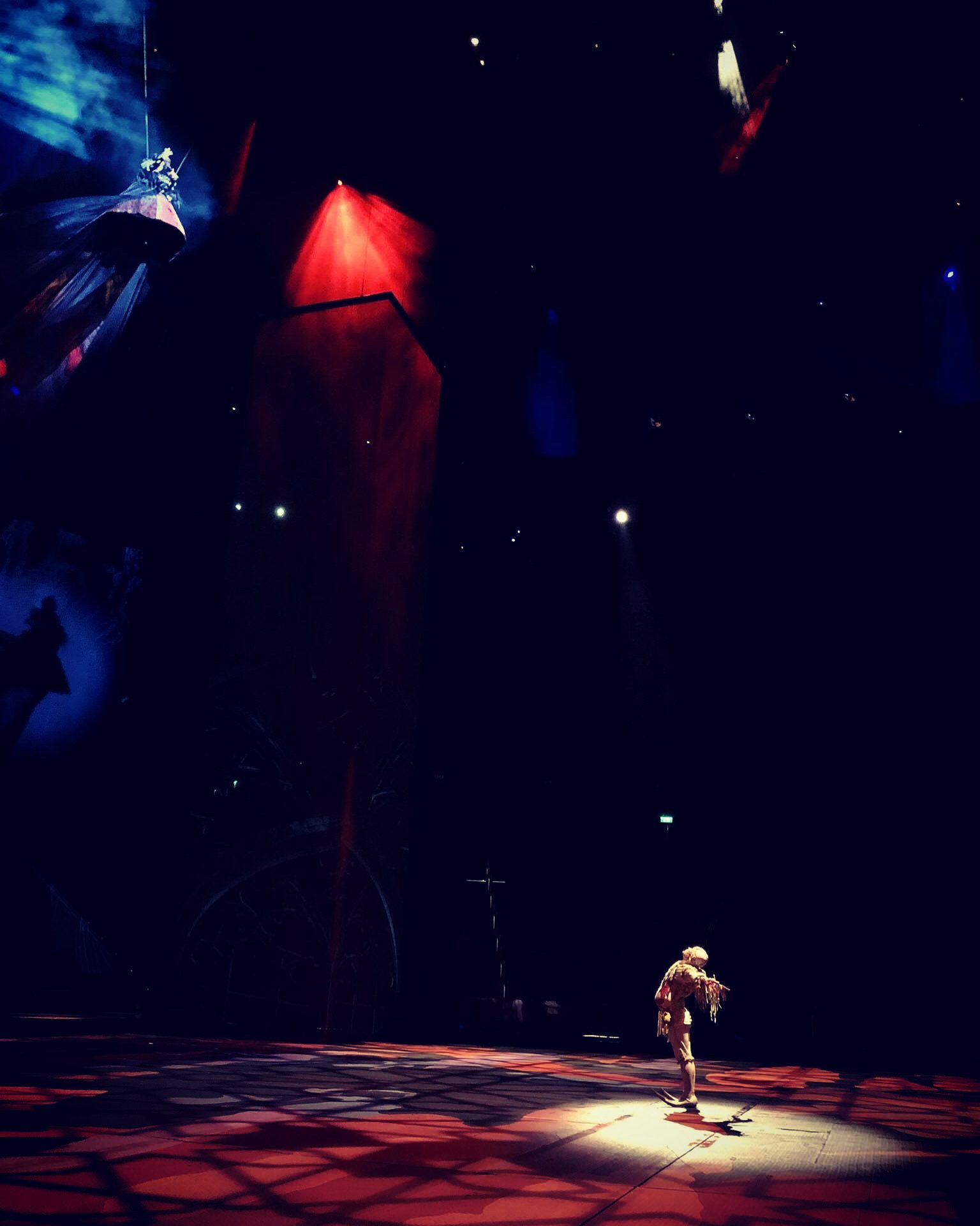 me as Iago in the circus me as Iago in the circus