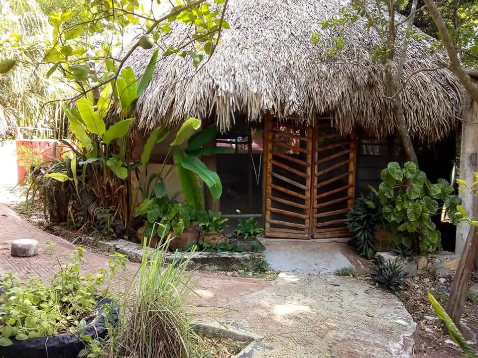 jungle house in bacalar