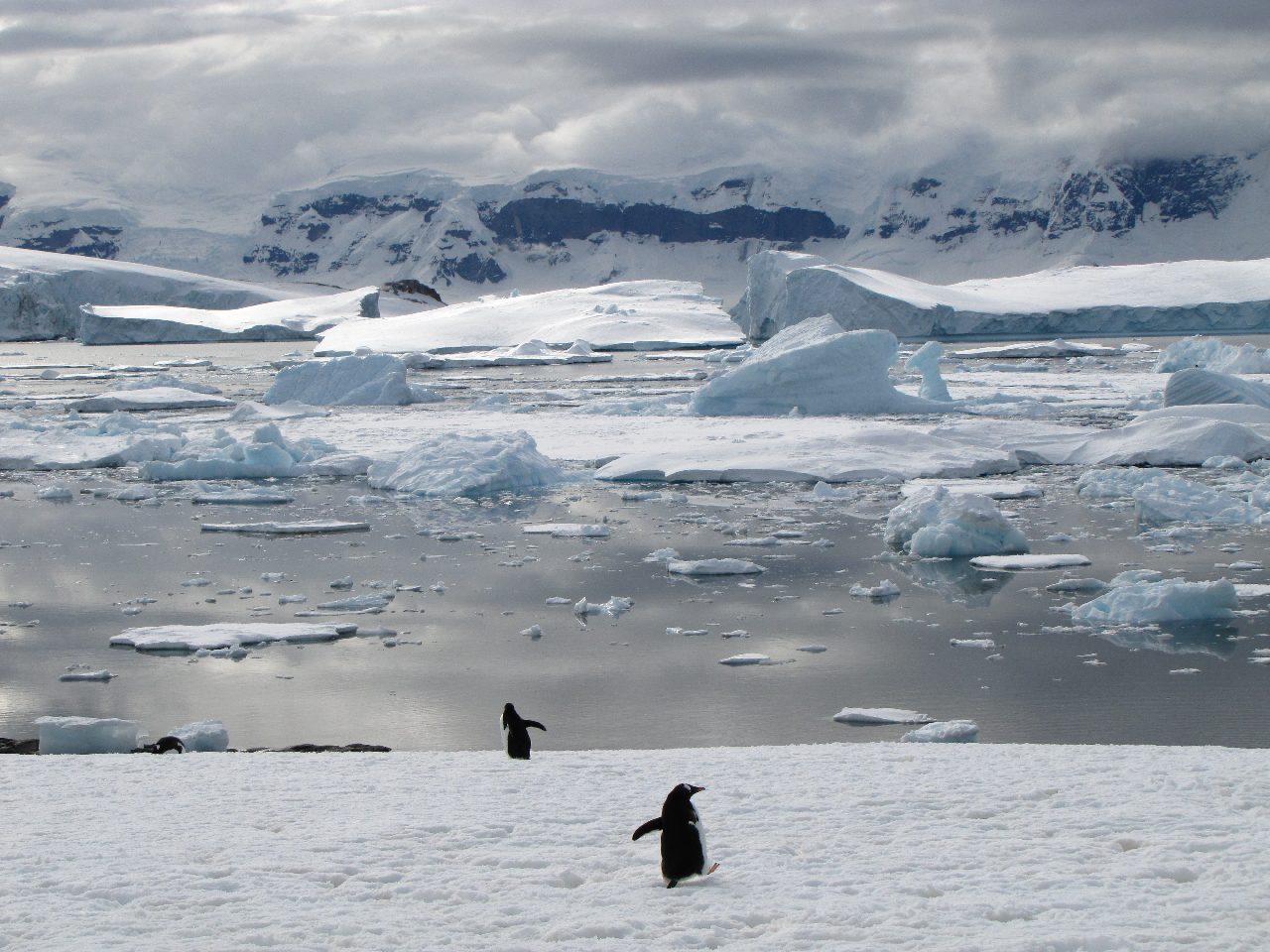 eco friendly gift travel experience