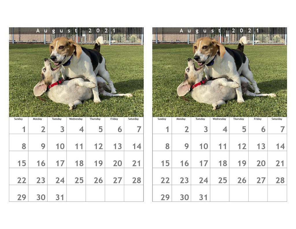 traveler gift idea photo calendar