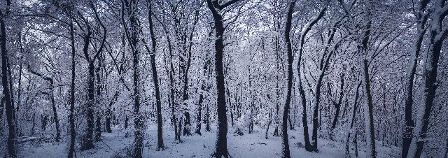 winter vacation ideas