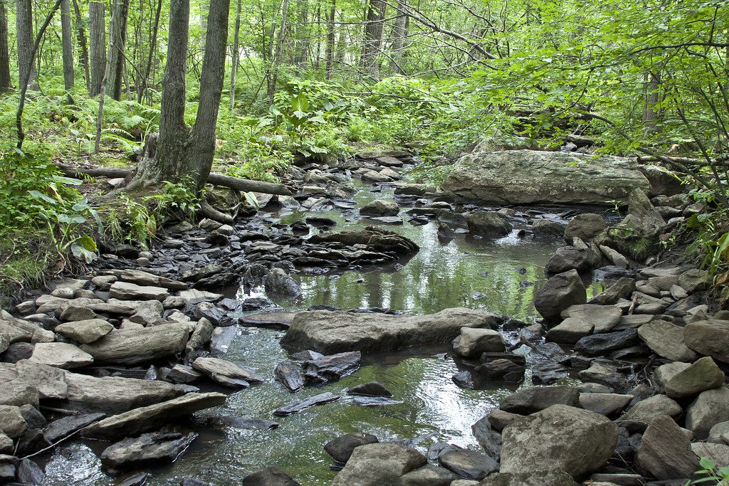 Broad Meadow Brook Conservation Center & Wildlife Sanctuary Worcester, MA