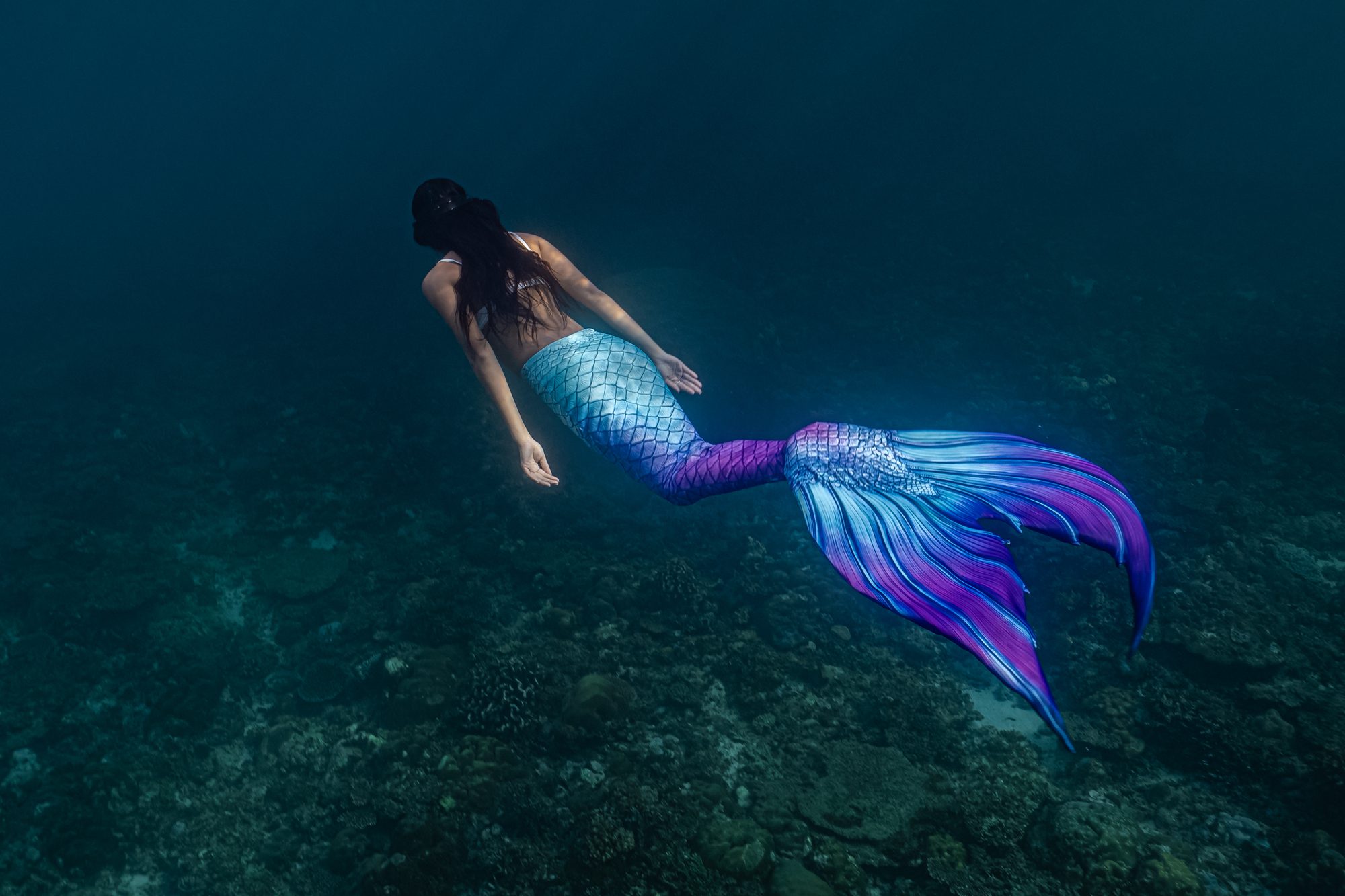 MERMAID SCHOOL IN LAS VEGAS