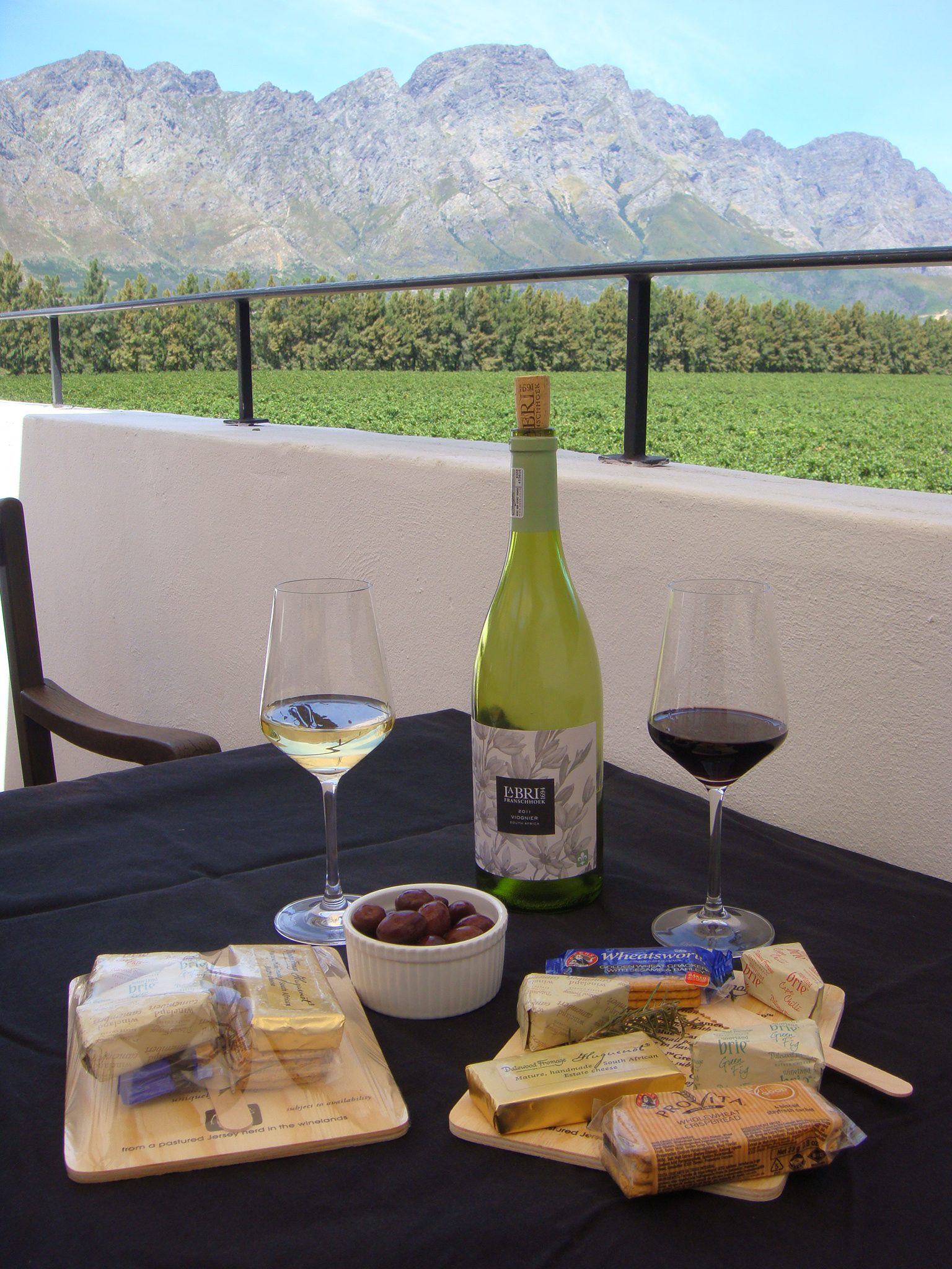 Cape Winelands- La Bri estate