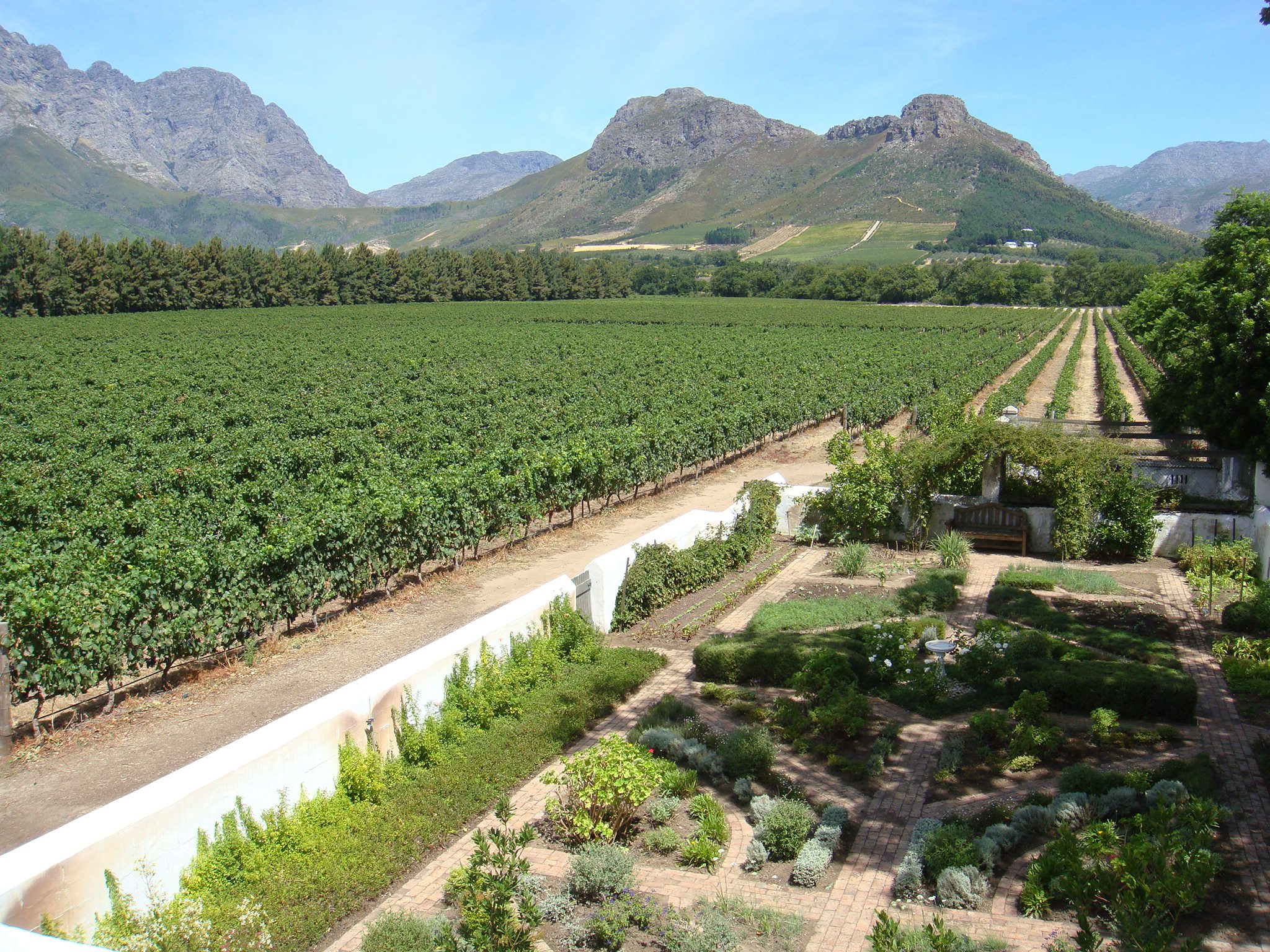 Cape Winelands- La Bri estate