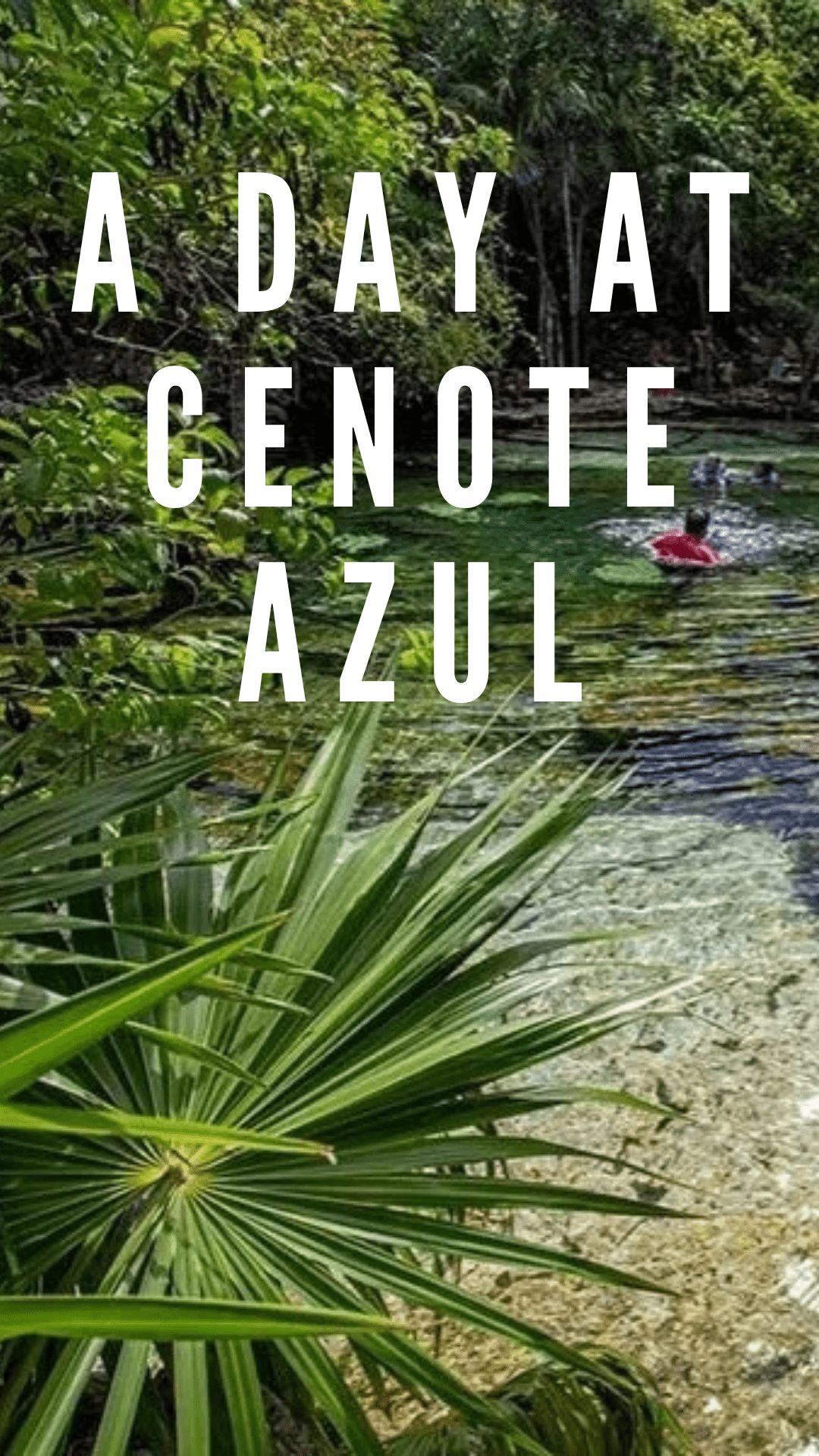 A day at Cenote Azul Mexico Guide 