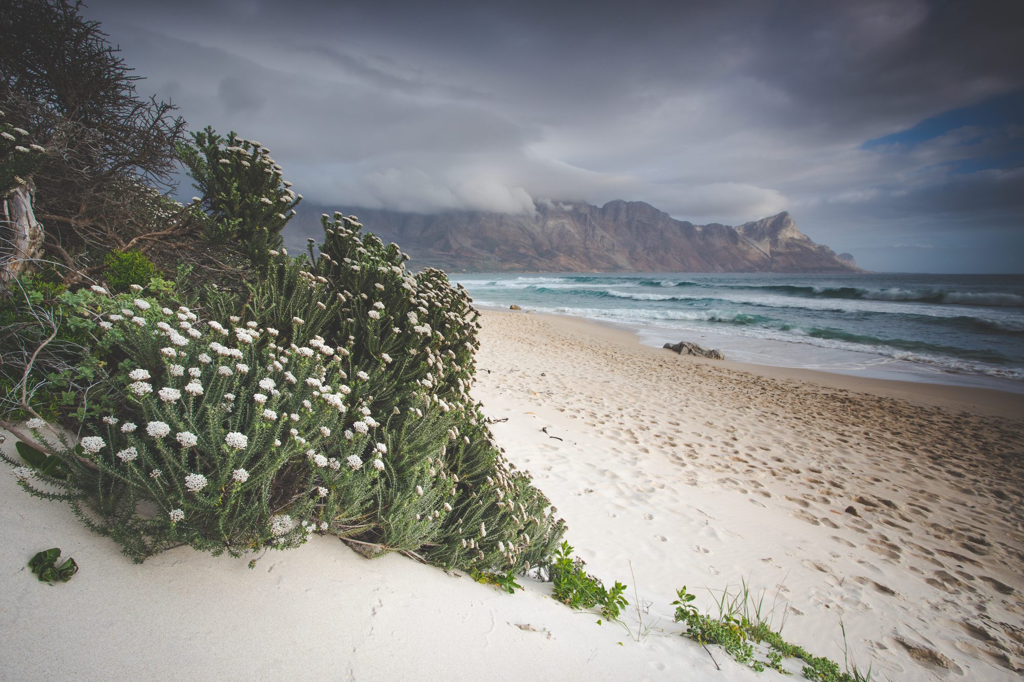 Best Things to do in Cape Town- Kogelbay Beach