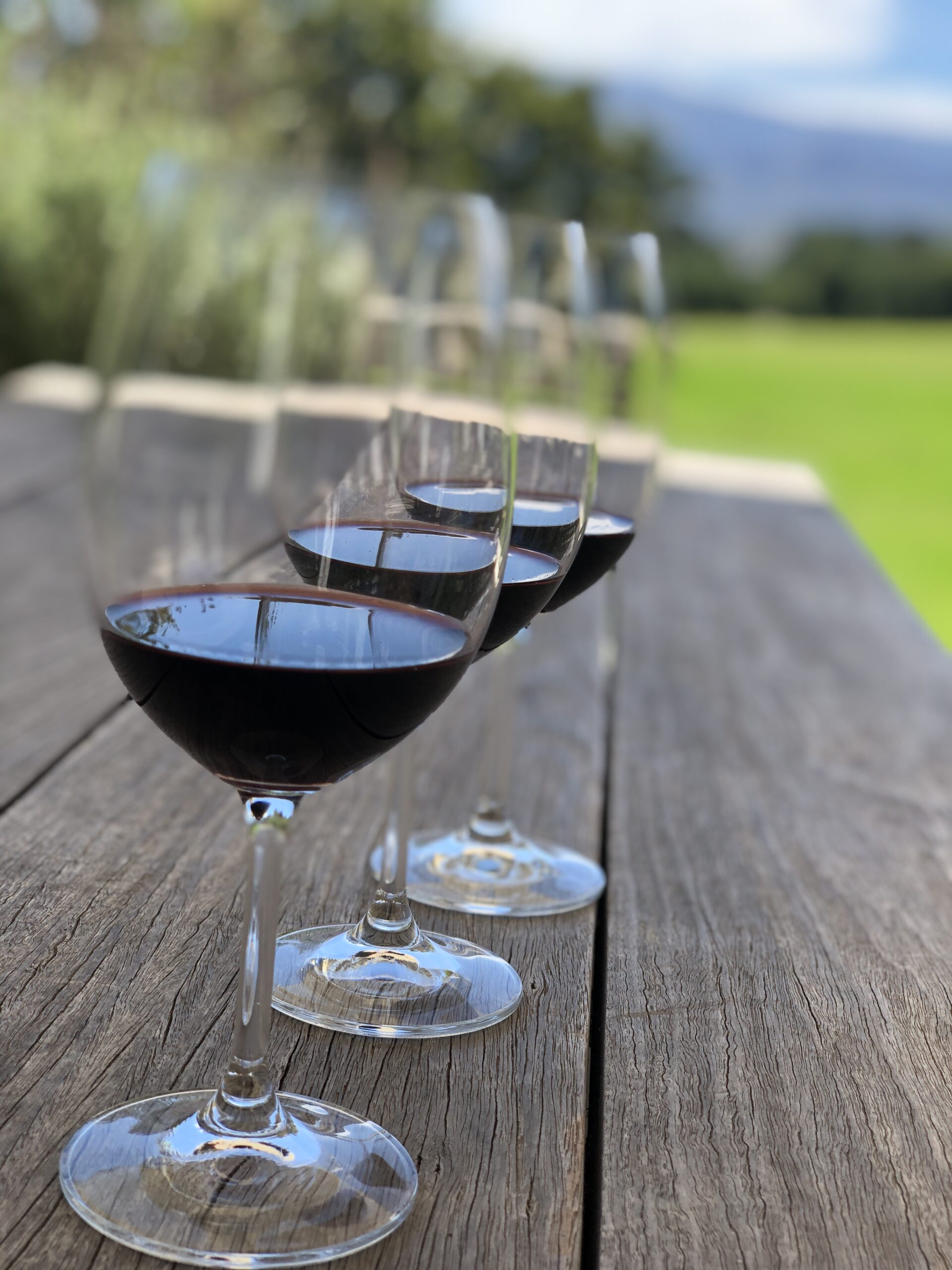 Top Wineries in the Cape Winelands- Wine Tastings