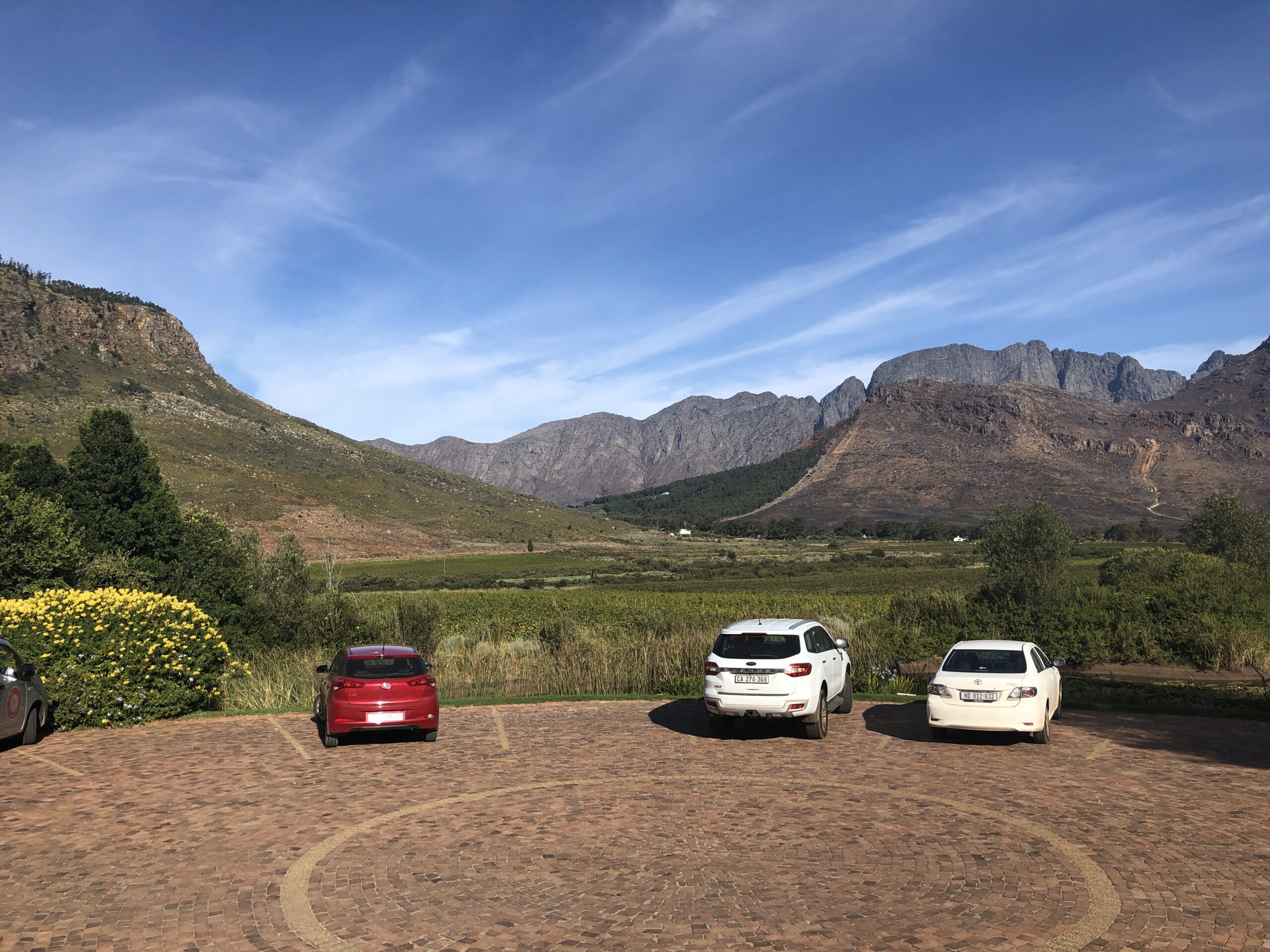 Top Wineries in the Cape Winelands- How to get around the Cape Winelands