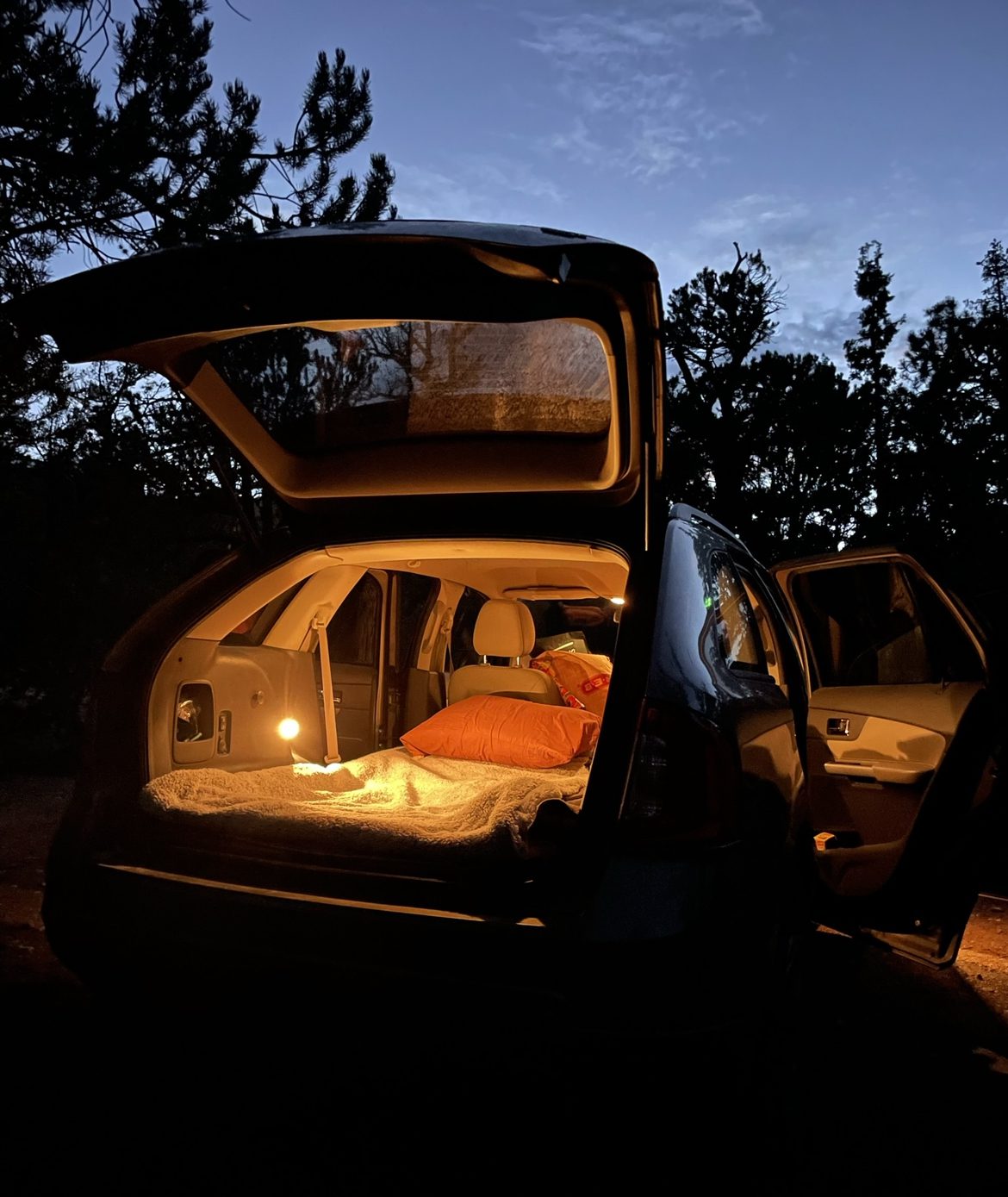 12 Amazing & Unique Day Trips From Las Vegas- Lee Canyon