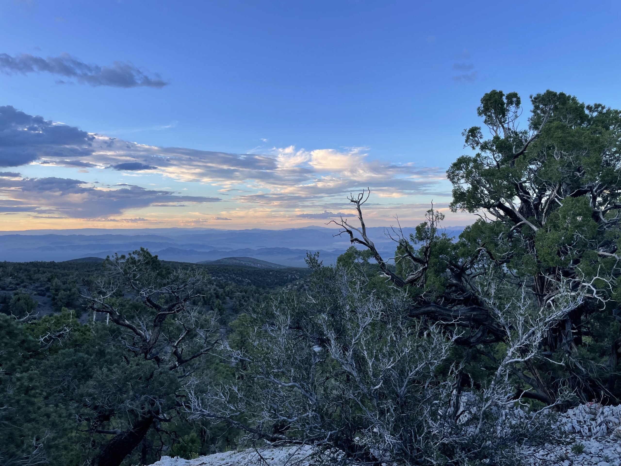 Lee Canyon- Day trips from Vegas