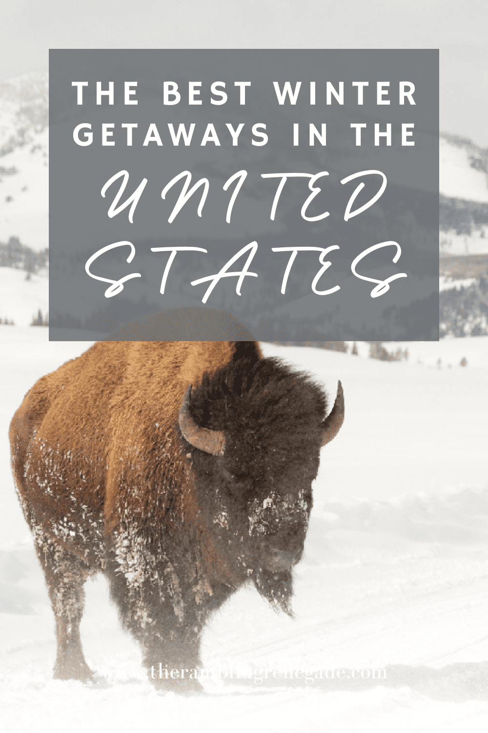 The Best winter trip ideas