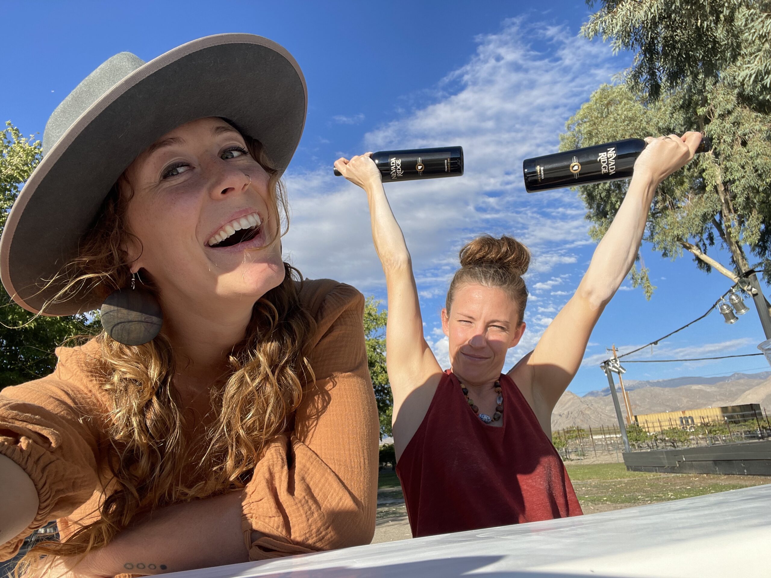 12 Amazing & Unique Day Trips From Las Vegas- Pahrump Winery