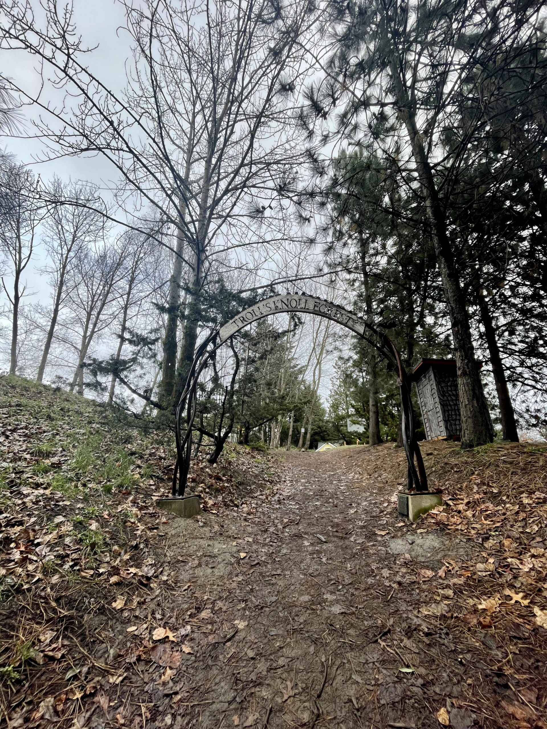 Troll's Knoll Forest near statue