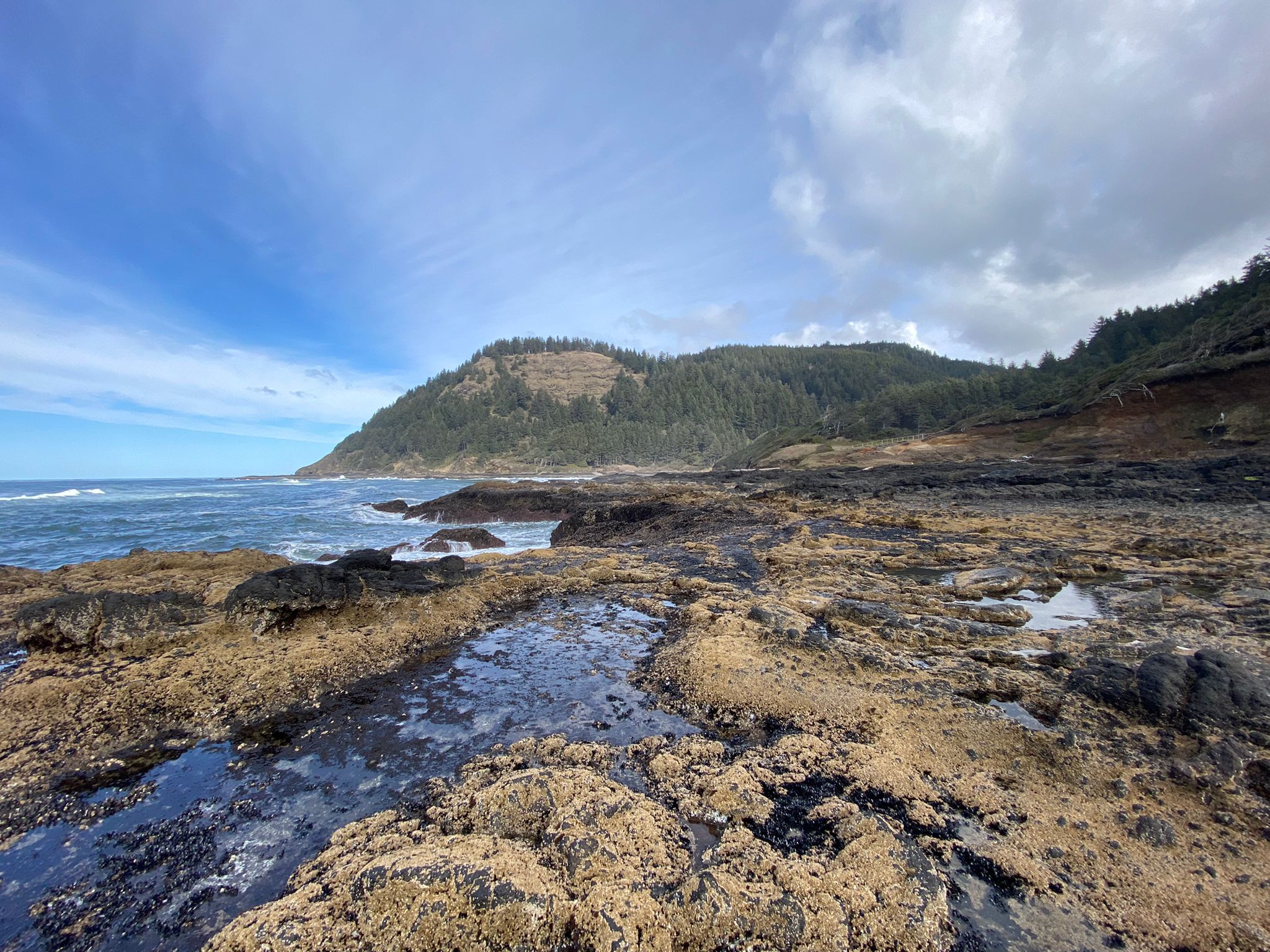 from Oregon to California Road Trip along Highway 101