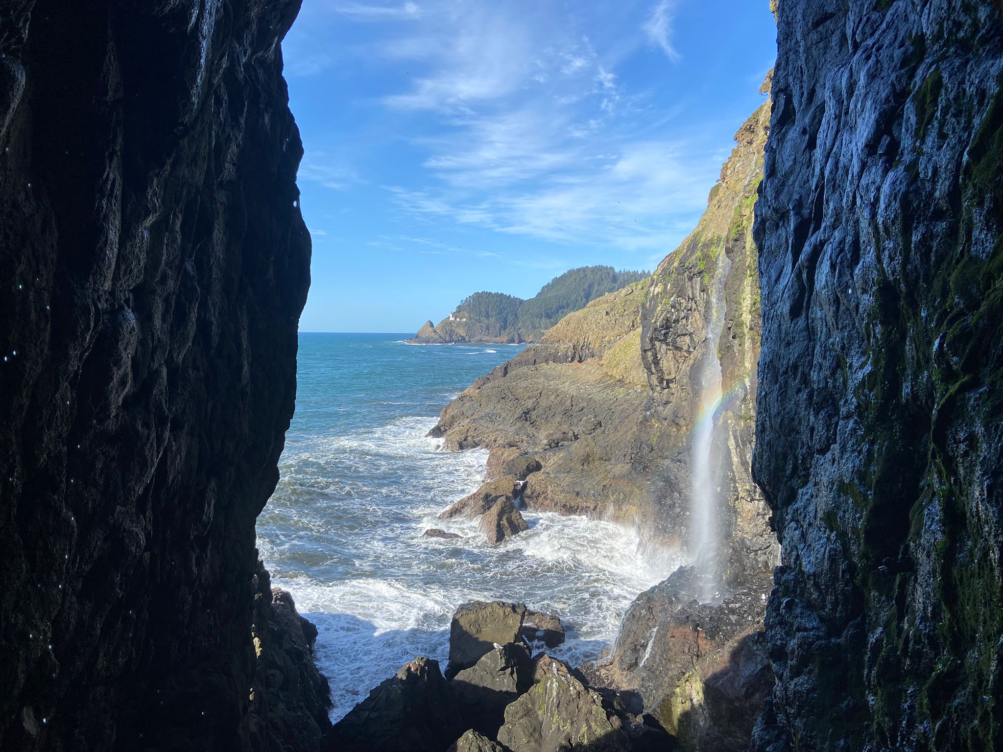 Highway 101 Sea Lions Caves Oregon