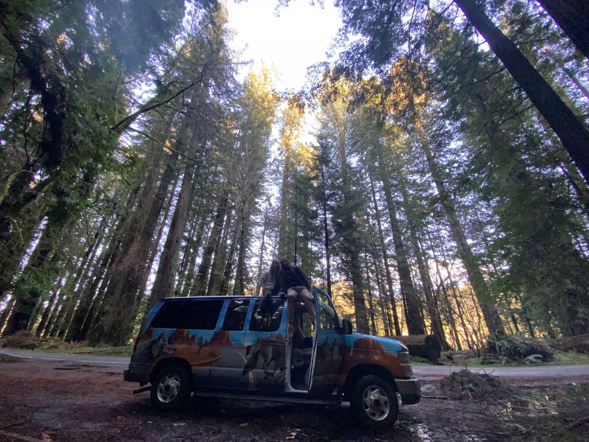 From Oregon to California Avenue of Giants