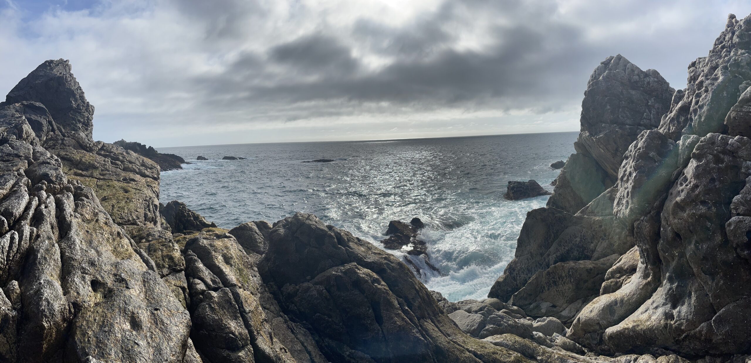 Whale Watching in big Sur