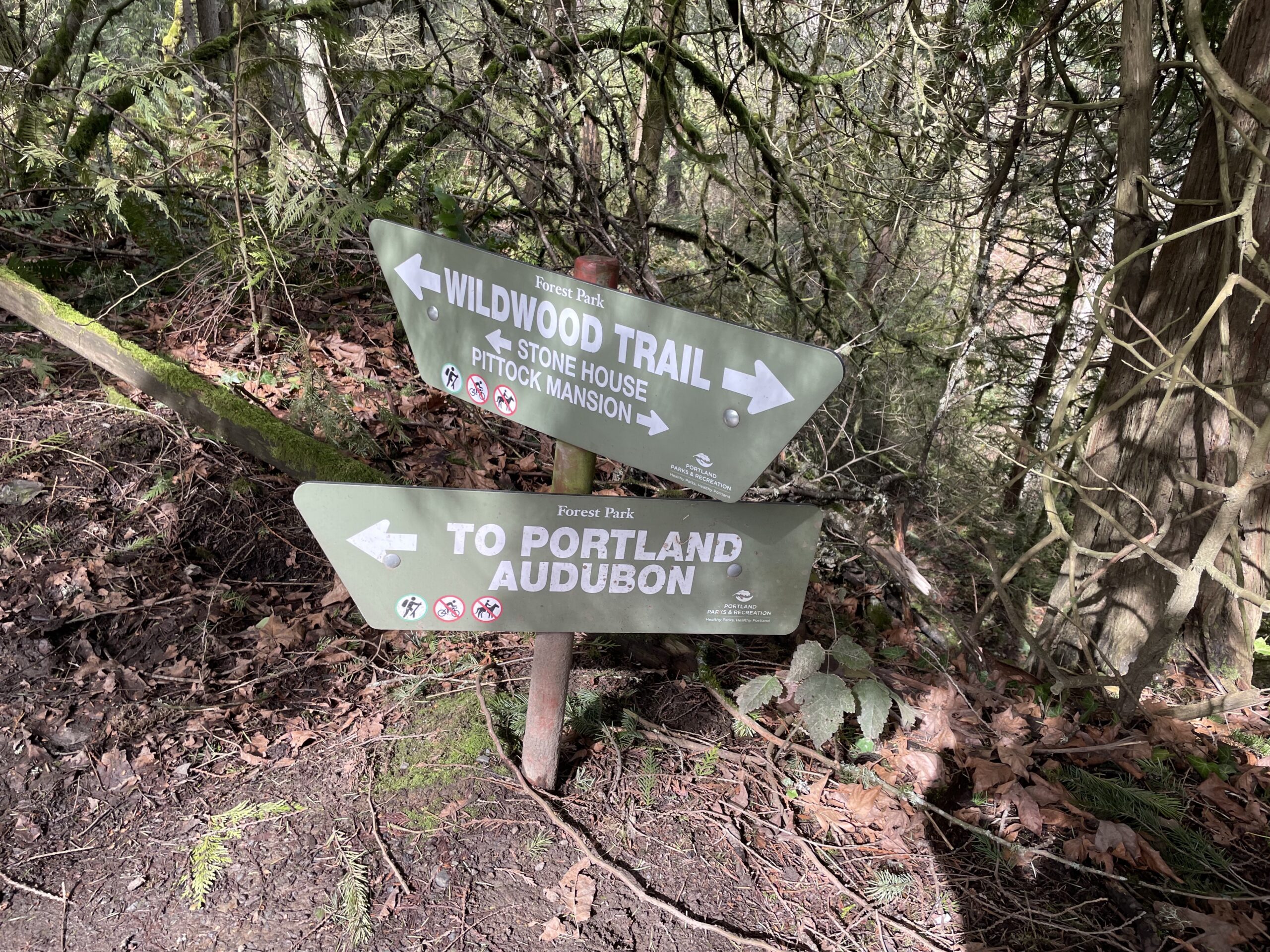 Pittock Manison Hike- Lower Macleay Trail