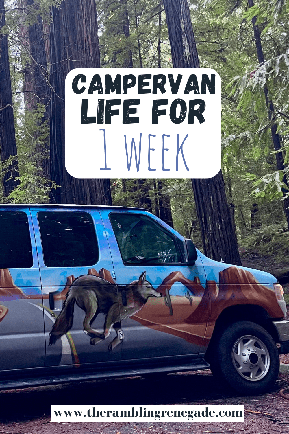 Camper Van Life