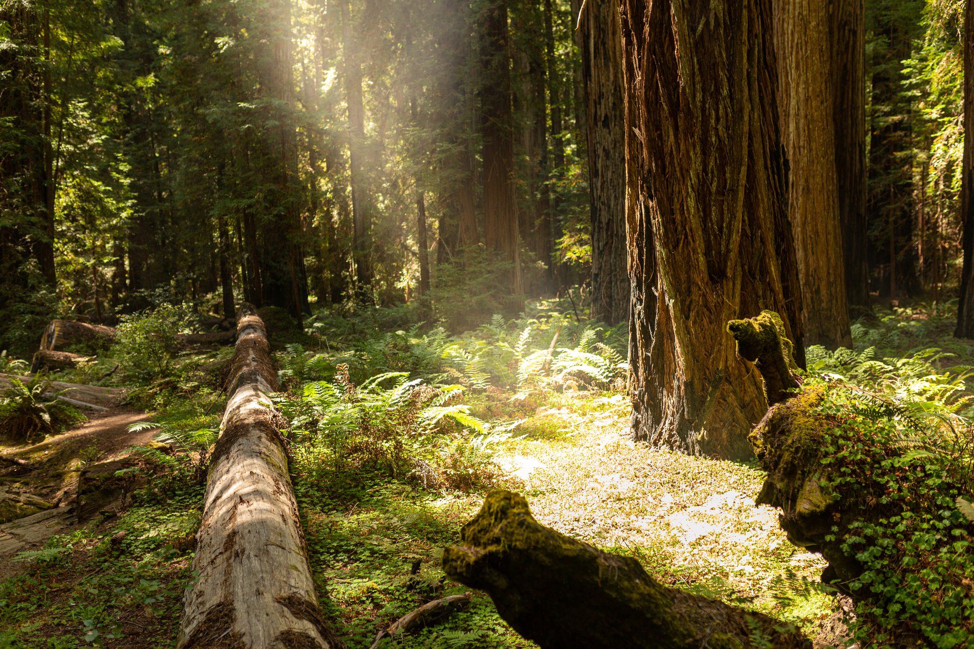 Julia Pfeiffer State Park