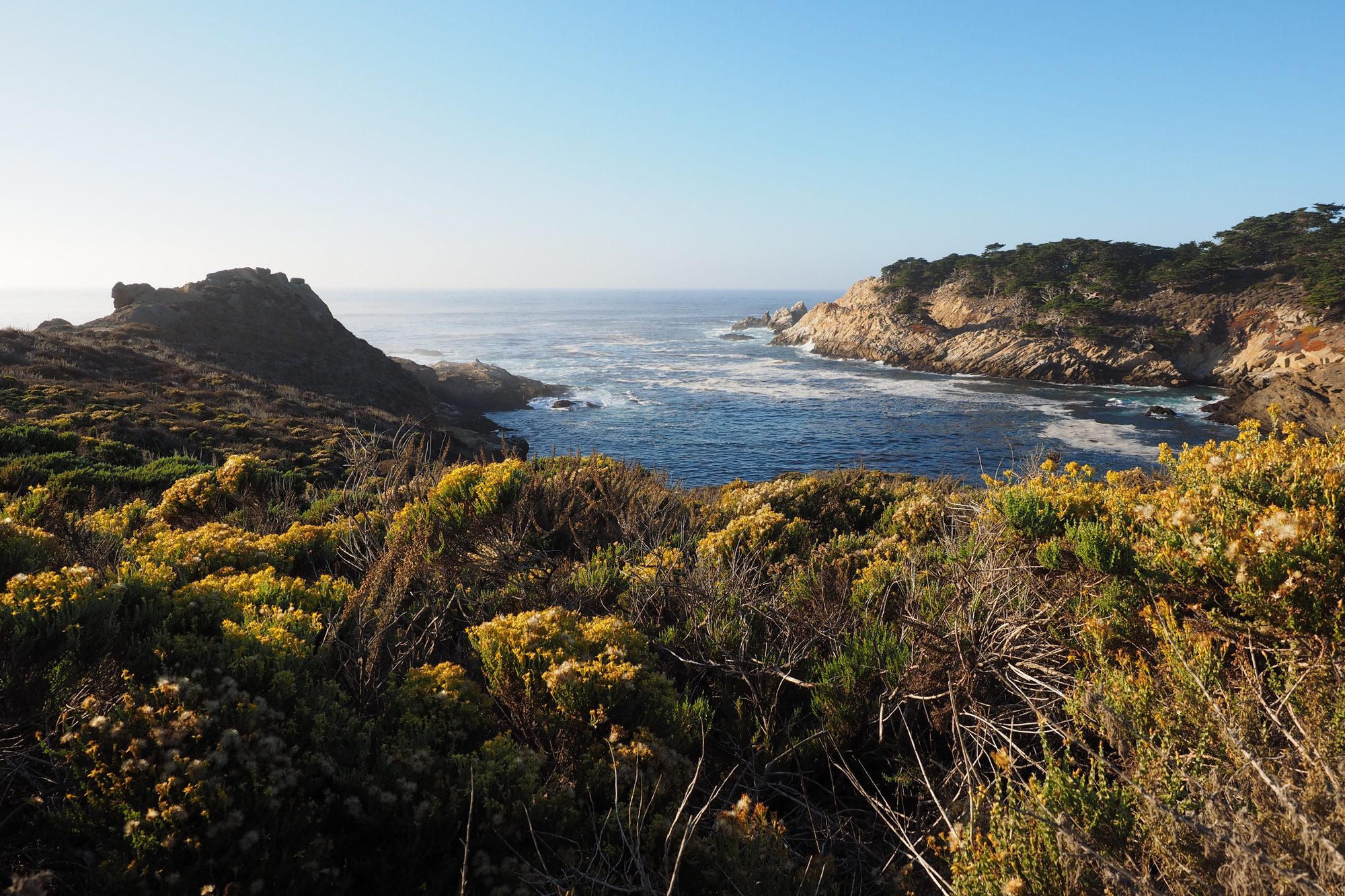 Point Lobos Big Sur