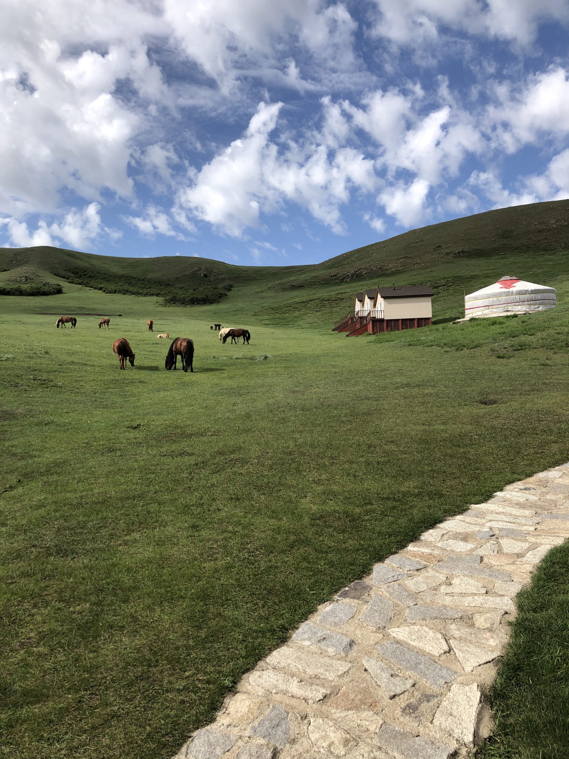 Mongolia Basecamp Hustai National Park