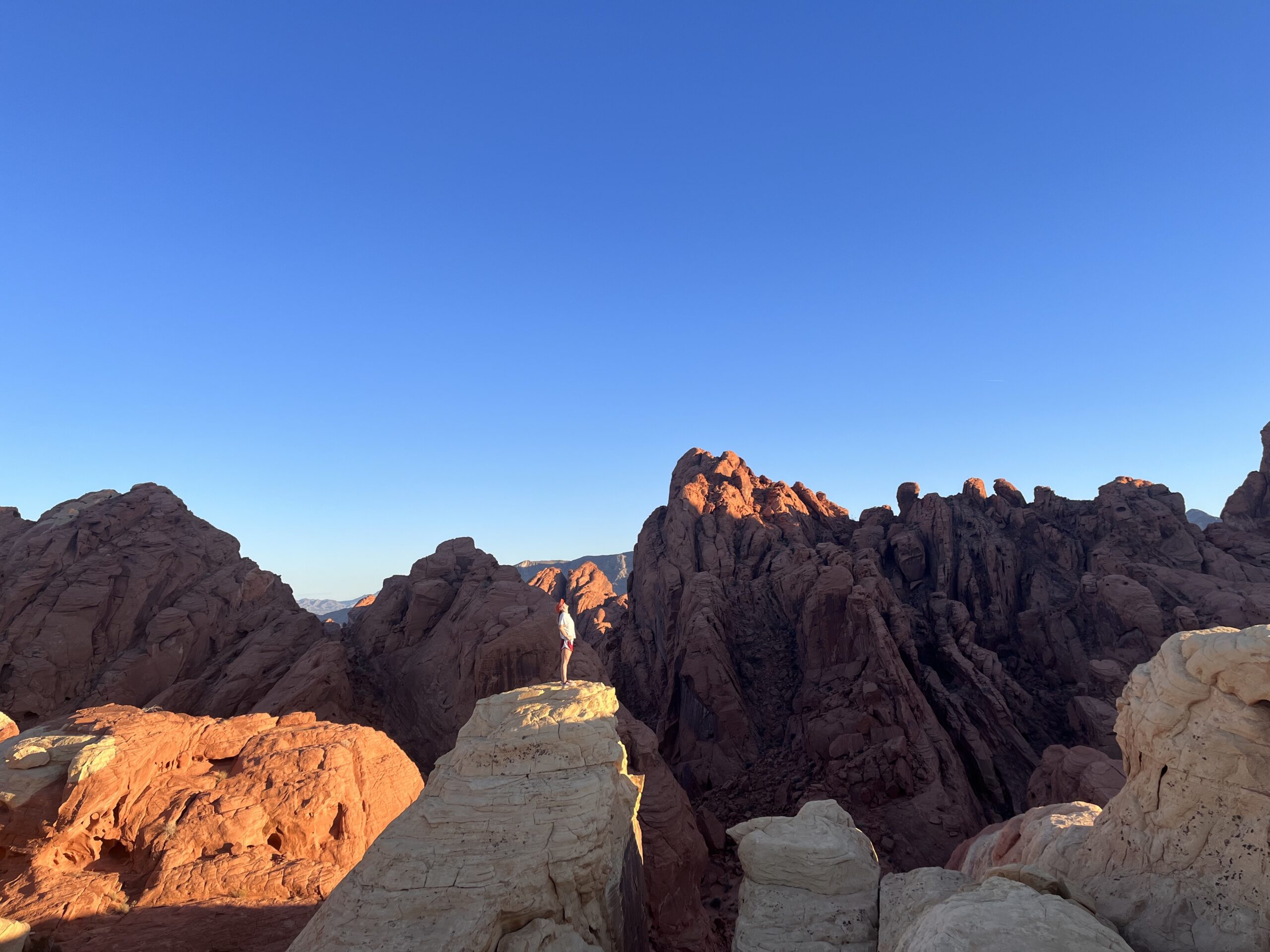 death valley day trips from vegas