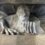 The Original Fremont Troll is a MUST DO in Seattle