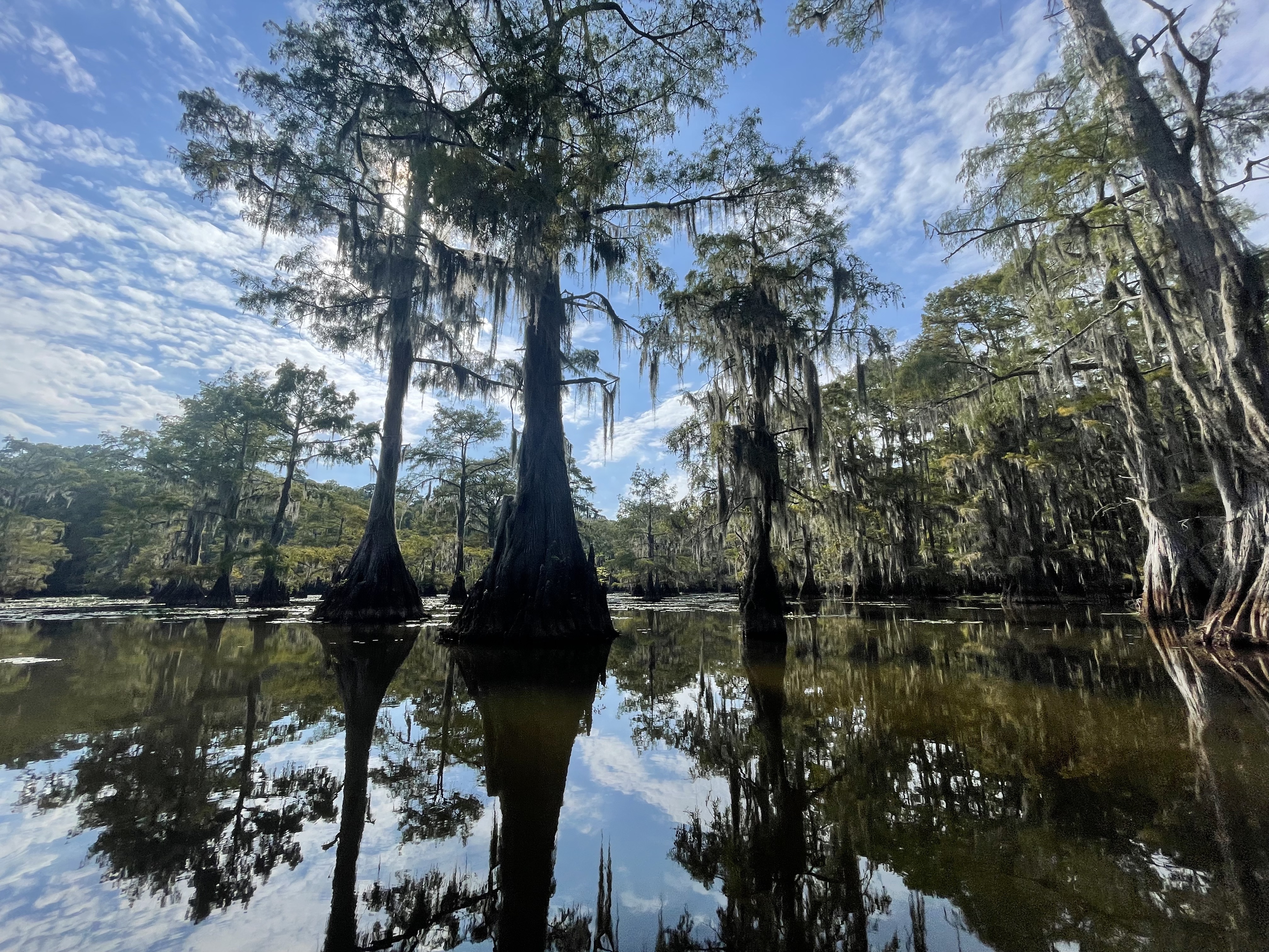 Lake Caddo in Texas- things to do in shreveport