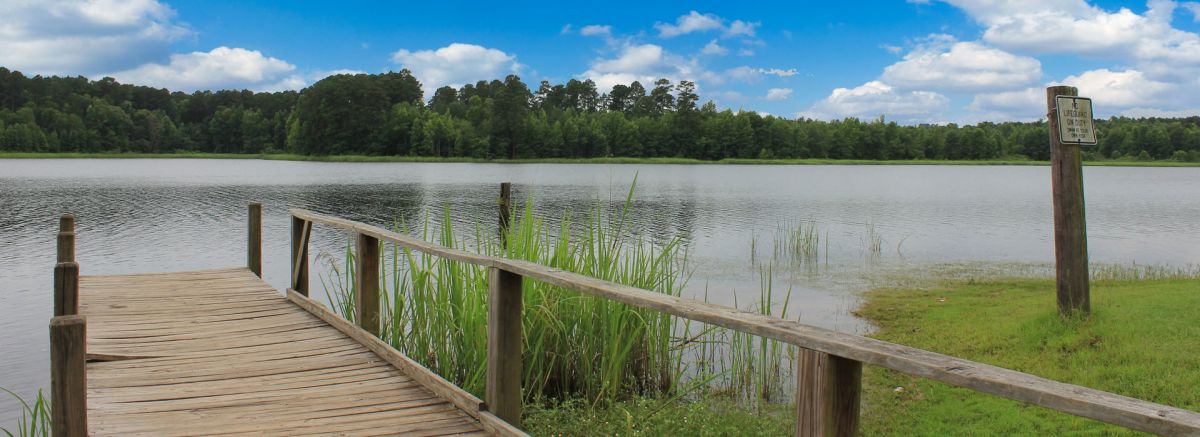 lake plain dealing in louisiana
