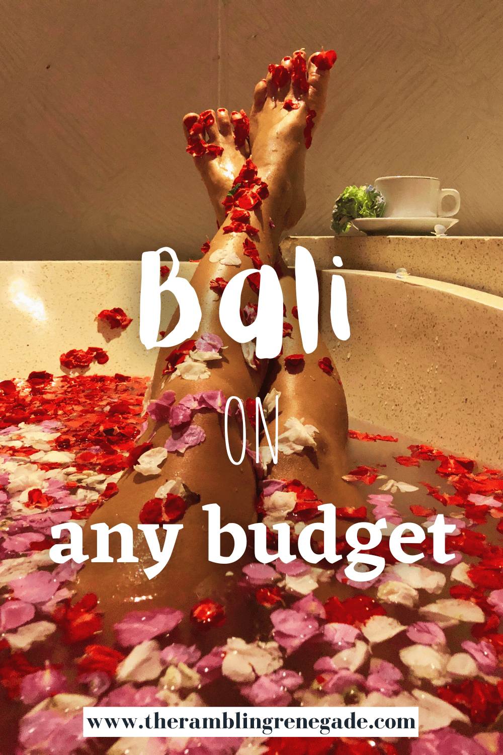 Bali Budget