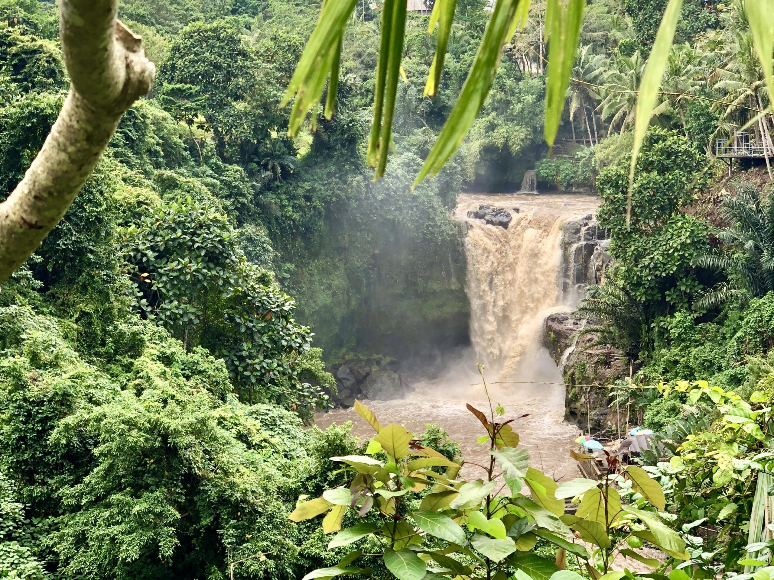 How to do Bali on Any Budget