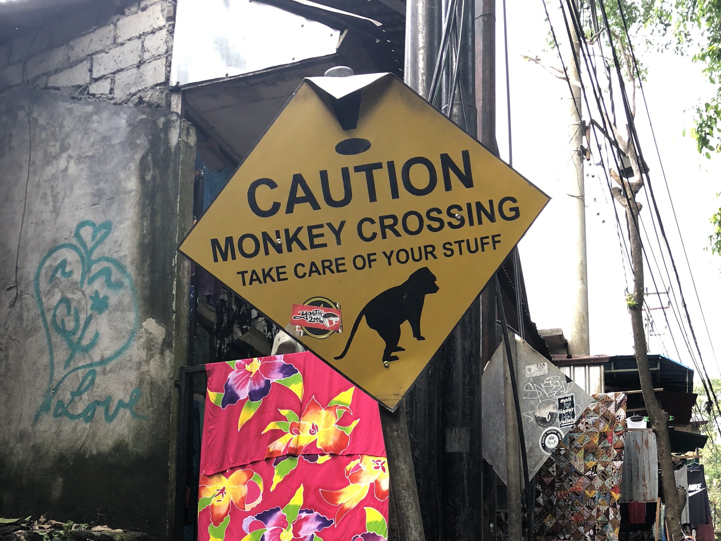 Monkey Forest in Ubud