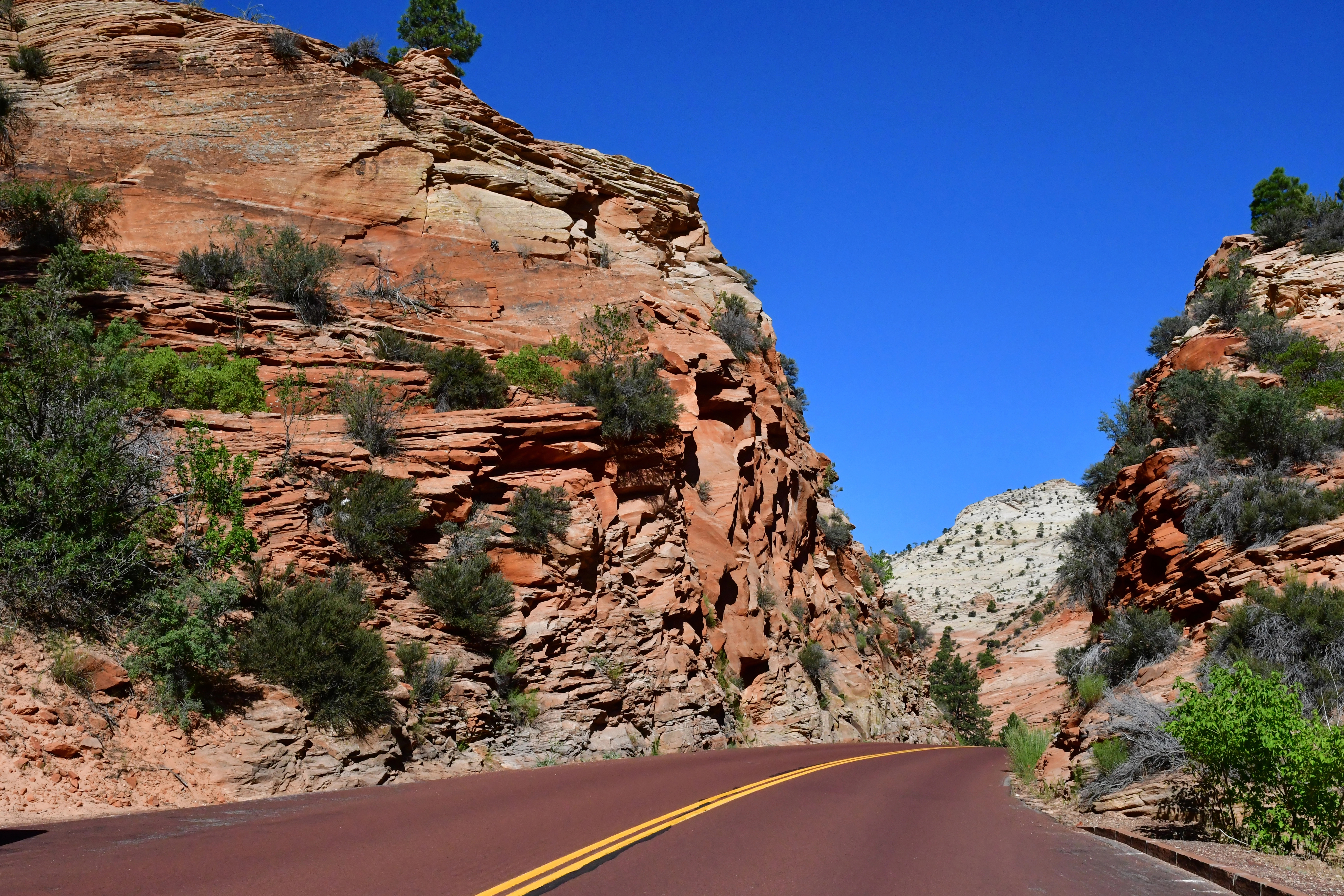 Oak Creek Canyon in coconino National Forest