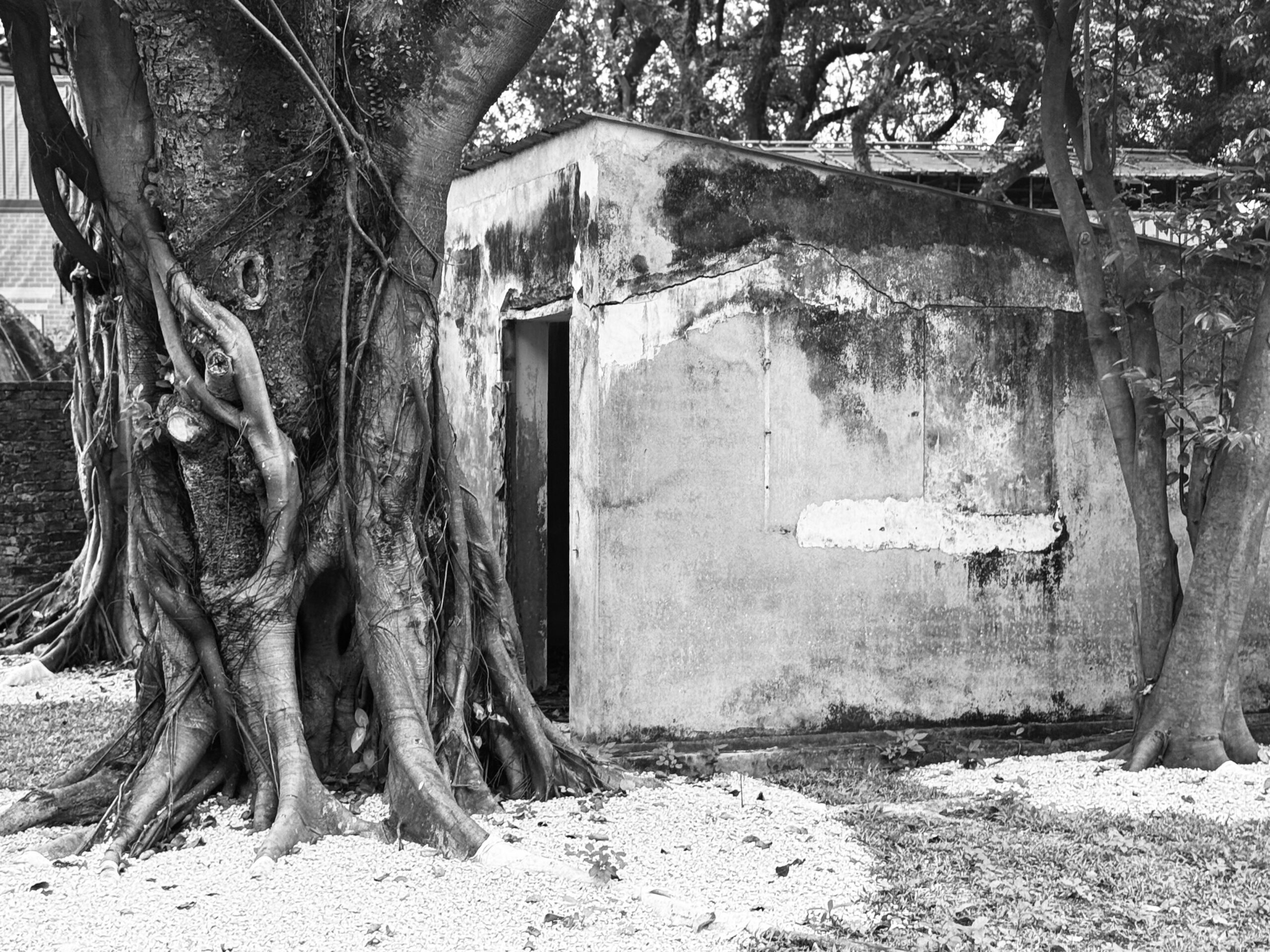 Iec Long Firecracker Factory